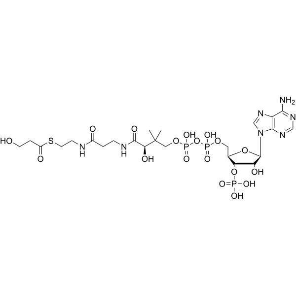 3-Hydroxypropionyl-CoA 157786-88-4